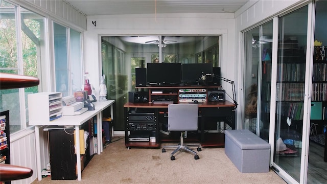 office featuring ceiling fan and carpet