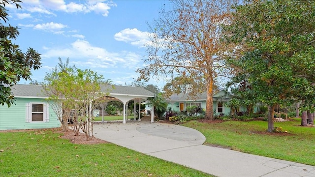 view of community with a lawn