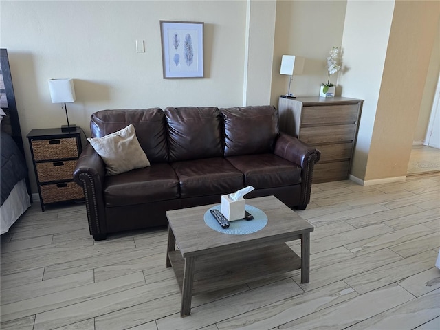 living room featuring light hardwood / wood-style flooring