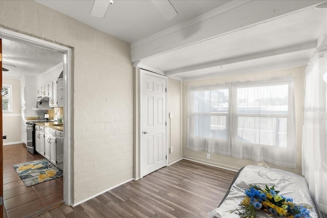 living area featuring ceiling fan and dark wood-type flooring