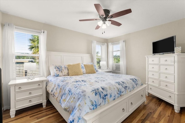 bedroom featuring ceiling fan, dark wood-type flooring, and multiple windows