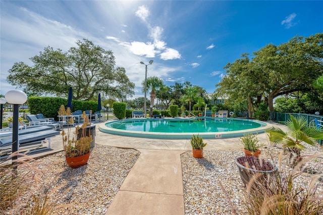 view of pool with a patio area