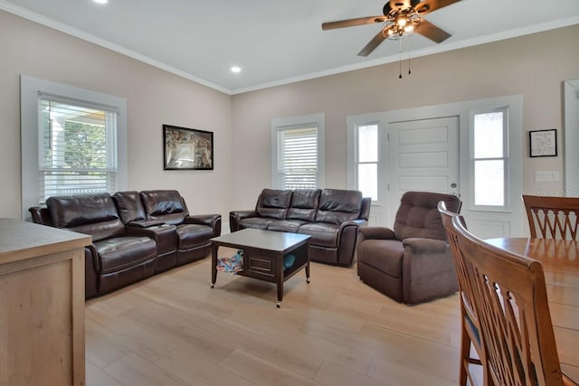 living room featuring ceiling fan, light hardwood / wood-style floors, and ornamental molding