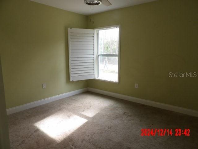 unfurnished room featuring carpet and ceiling fan