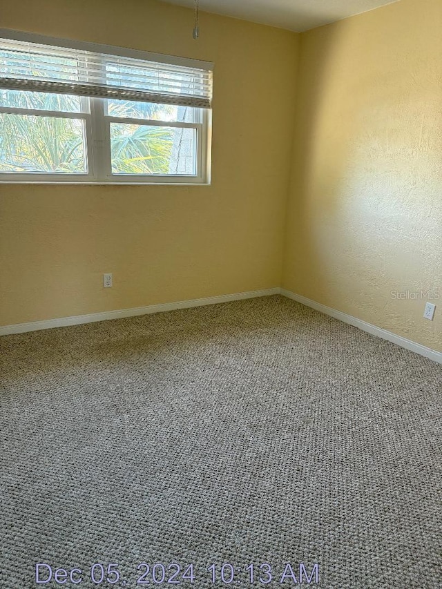 empty room with plenty of natural light and carpet