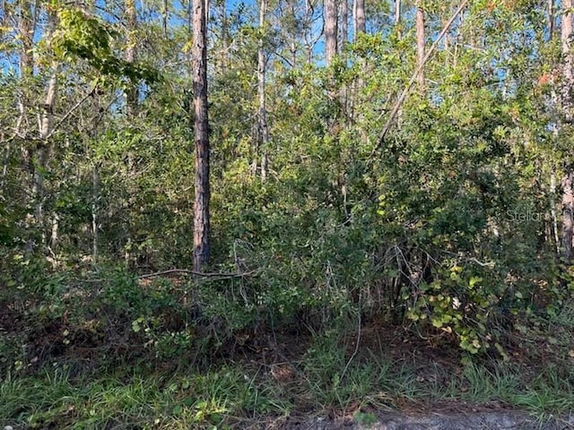 4637 Kola Rd, New Smyrna Beach FL, 32168 land for sale