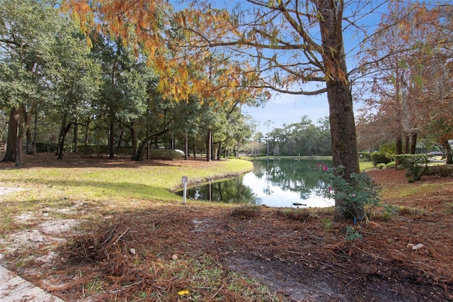 view of yard with a water view