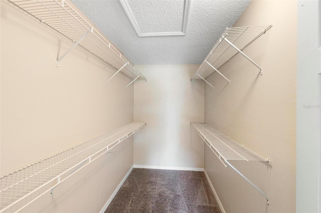 walk in closet with carpet flooring