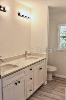 bathroom featuring vanity, wood-type flooring, and toilet