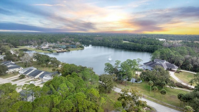 aerial view at dusk featuring a water view