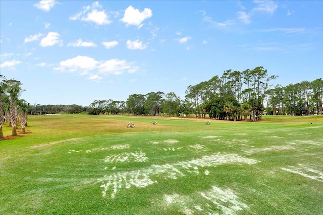 view of home's community featuring a yard