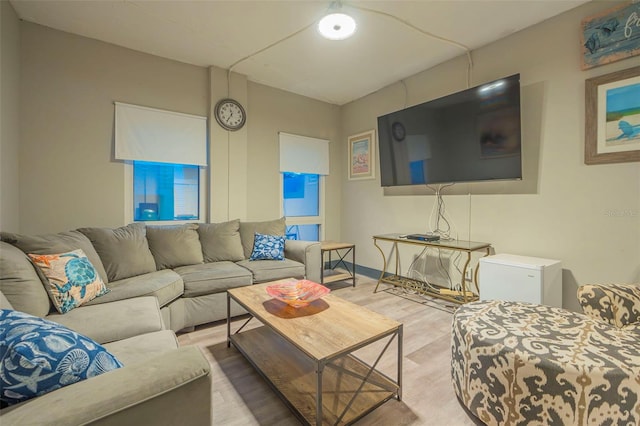 living area featuring wood finished floors