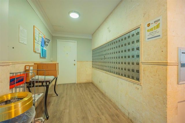 hallway featuring mail area, a wainscoted wall, wood finished floors, and crown molding