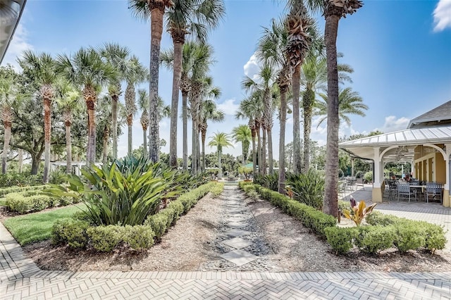 430 Cypress Hills Way, Deland, FL 32724 - surrounding community featuring a patio area