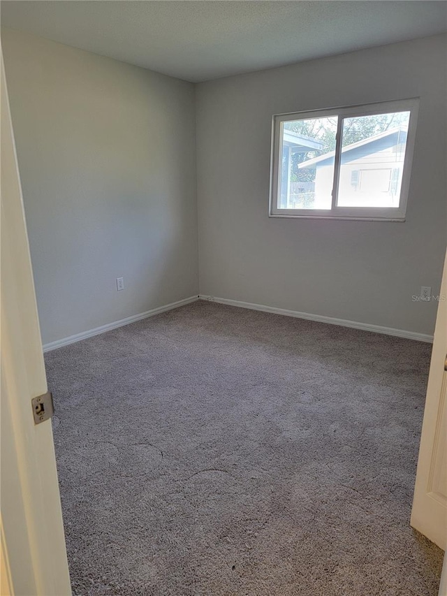 spare room with carpet