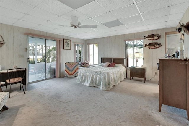 carpeted bedroom featuring a drop ceiling, ceiling fan, access to outside, and multiple windows