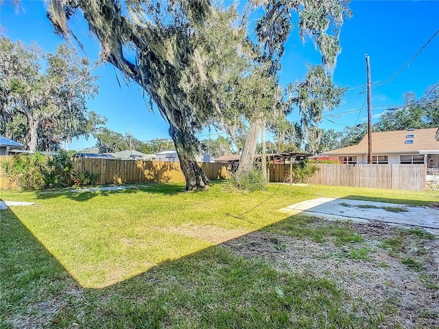 view of yard featuring a patio area