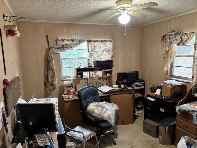 carpeted office space with ceiling fan, crown molding, and a textured ceiling