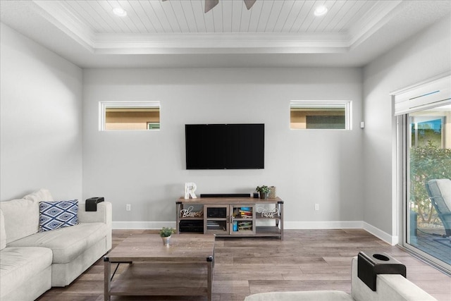 living room with hardwood / wood-style floors and a tray ceiling