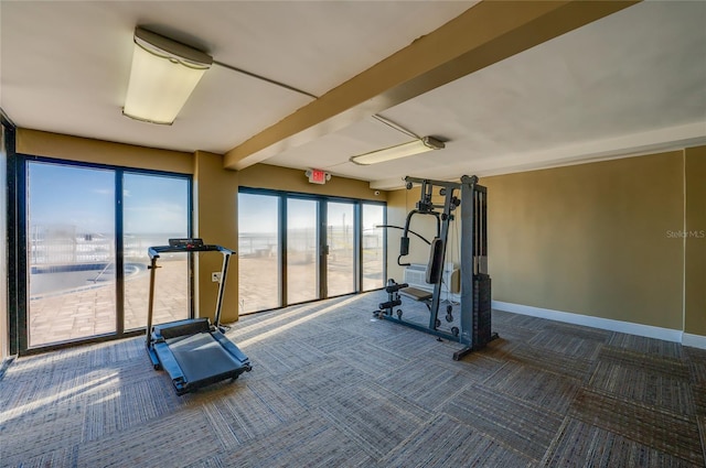 exercise area with carpet flooring