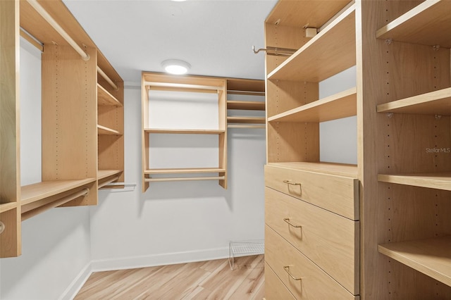 walk in closet with light wood-type flooring