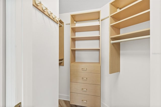 spacious closet with wood-type flooring