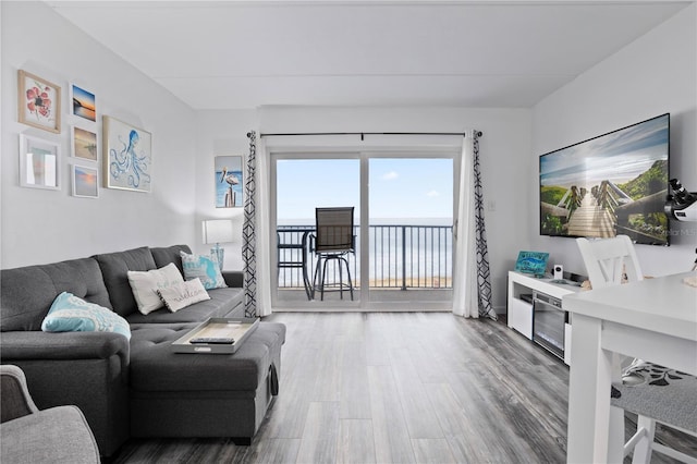 living room with hardwood / wood-style flooring