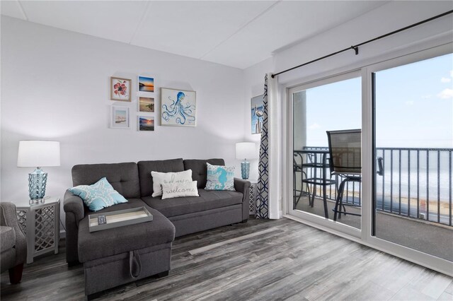 living room with wood-type flooring