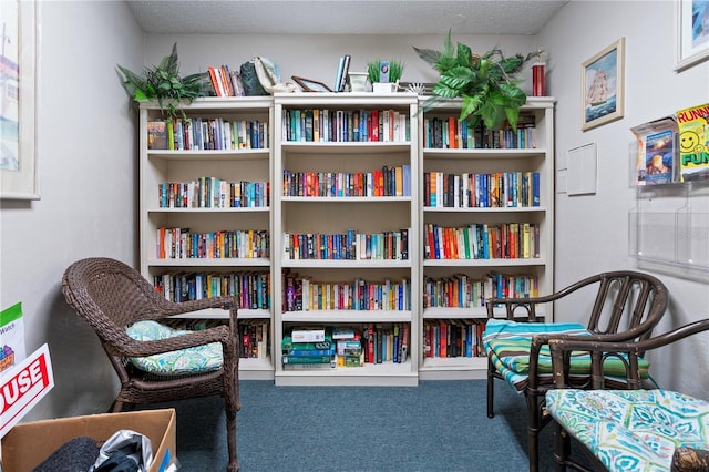 sitting room featuring carpet and a textured ceiling