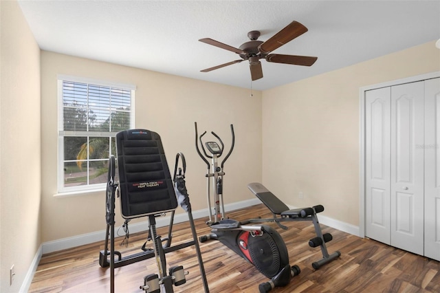 workout room with ceiling fan and wood-type flooring