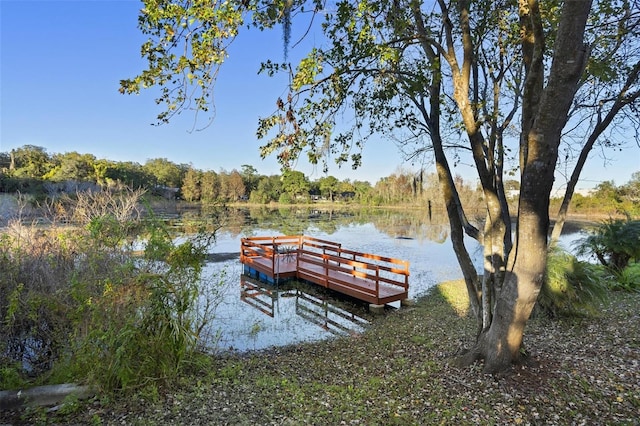 dock area featuring a water view