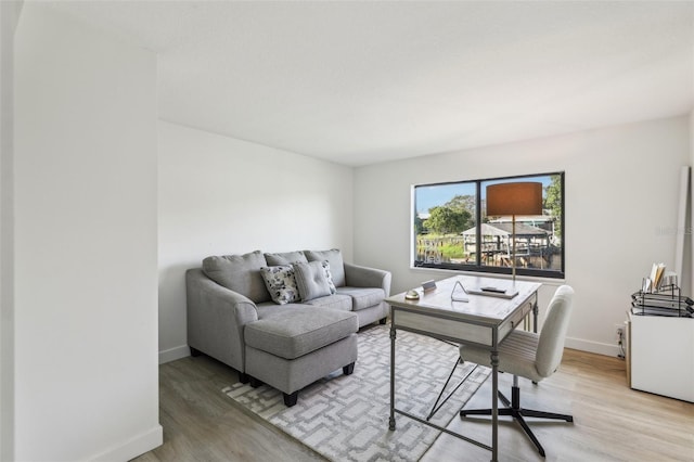 living room with light hardwood / wood-style floors