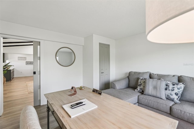 living room featuring hardwood / wood-style flooring