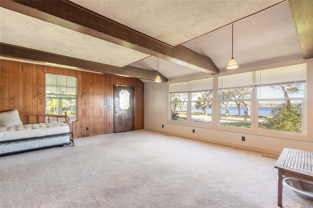 interior space with carpet floors, a water view, and multiple windows