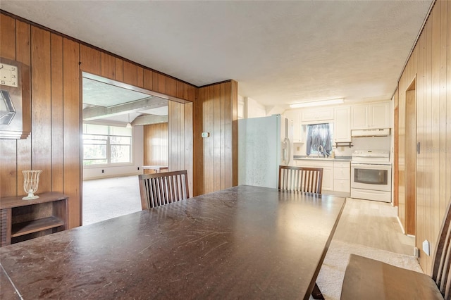 carpeted dining room featuring wooden walls