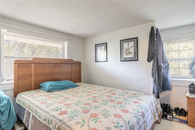 bedroom featuring carpet floors