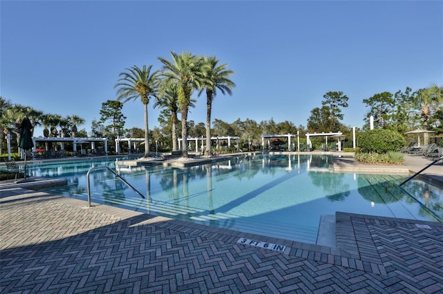 view of pool featuring a patio