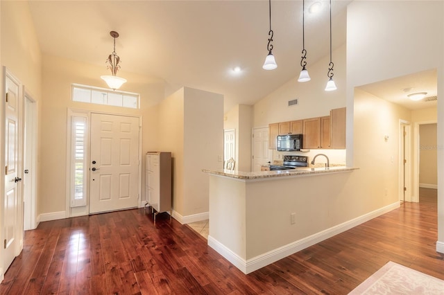 foyer entrance featuring sink, dark hardwood / wood-style flooring, high vaulted ceiling, and plenty of natural light