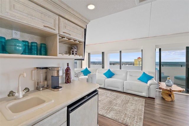 interior space featuring a textured ceiling, a water view, dark wood-type flooring, and sink