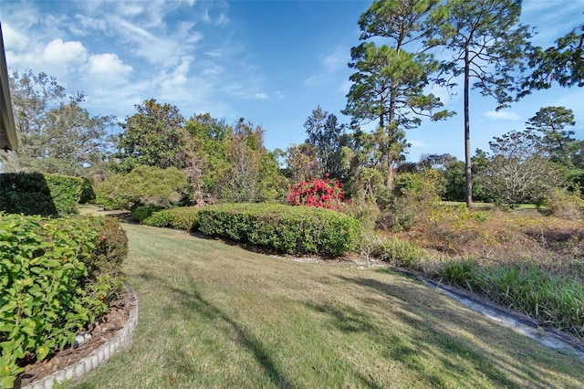 376 Hampton Hills Ct, Debary, FL 32713 - view of green lawn