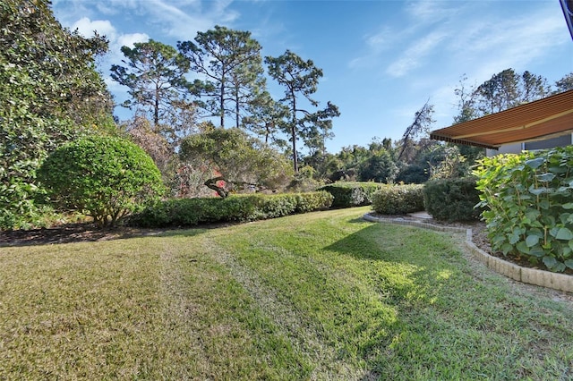 376 Hampton Hills Ct, Debary, FL 32713 - view of grassy yard