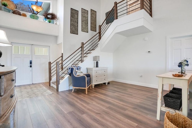 entrance foyer featuring wood-type flooring and a high ceiling