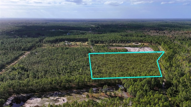 3 Chesser Hammock Rd, Pierson FL, 32180 land for sale