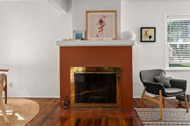 sitting room with dark hardwood / wood-style floors