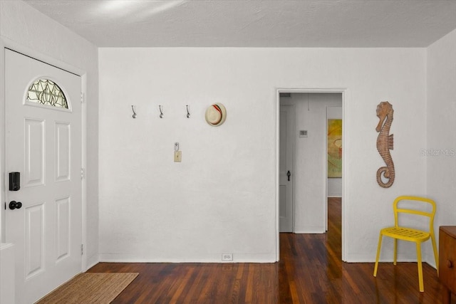 entryway featuring dark wood-type flooring