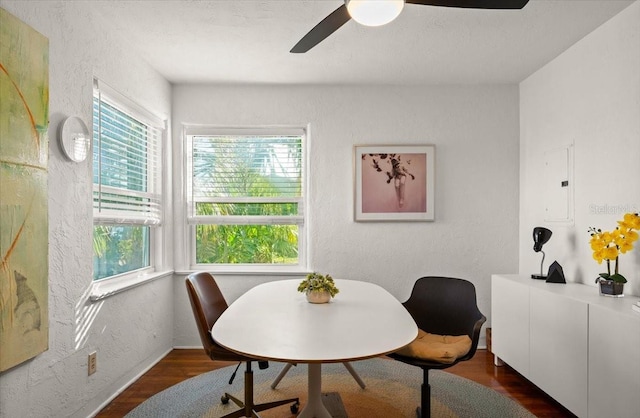 dining space with dark hardwood / wood-style floors and ceiling fan