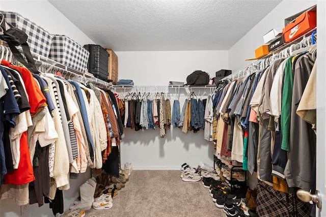 walk in closet featuring carpet