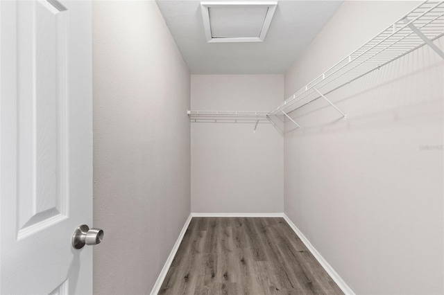 spacious closet featuring hardwood / wood-style flooring