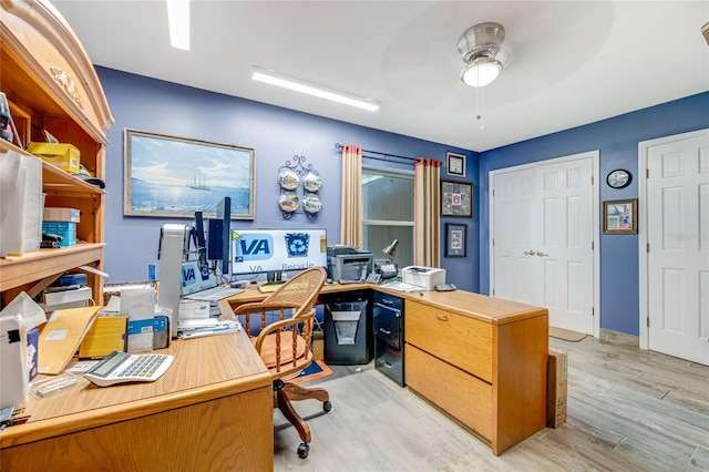 office with ceiling fan and light hardwood / wood-style flooring