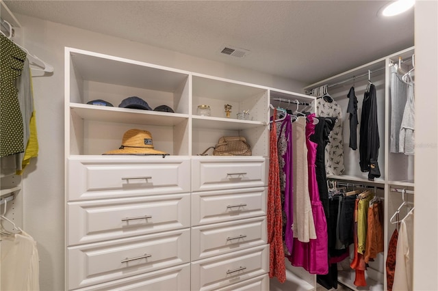 view of spacious closet